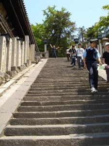 Taking the stairs for weight loss.