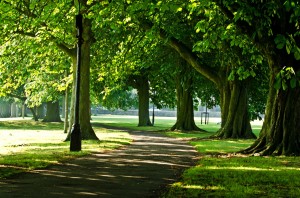 Exercise outdoors