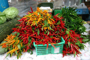 Fresh Japanese Chillies