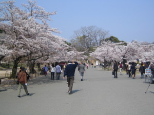 Walking for exercise.